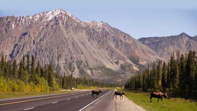 Alaska