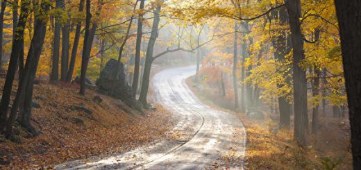 秋景。（戴兵/大纪元）