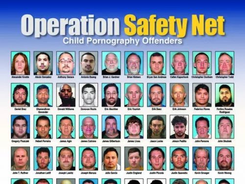 竟然提供4岁女童为性奴 79名儿童性侵嫌犯在新泽西落网_图1-4