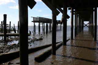 坎伯兰县张贴桑迪布鲁斯