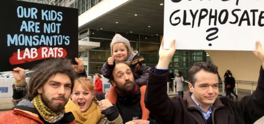 Image result for dewayne johnson monsanto