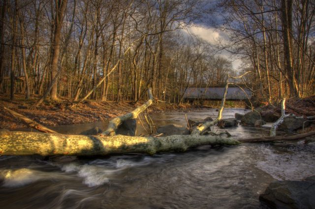 Image result for Green Sergeant\\\\\\\\\\\\'s Covered Bridge, Stockton, NJ