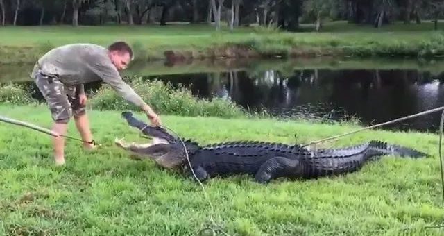 为什么说佛州才是美国最蠢的地方？