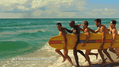 为什么说佛州才是美国最蠢的地方？