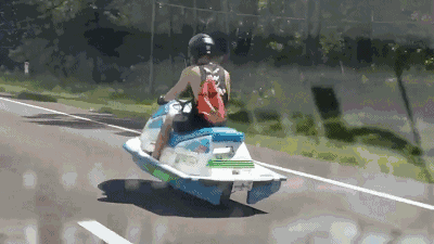 为什么说佛州才是美国最蠢的地方？