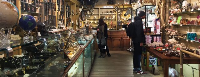 Image result for The Evolution Store