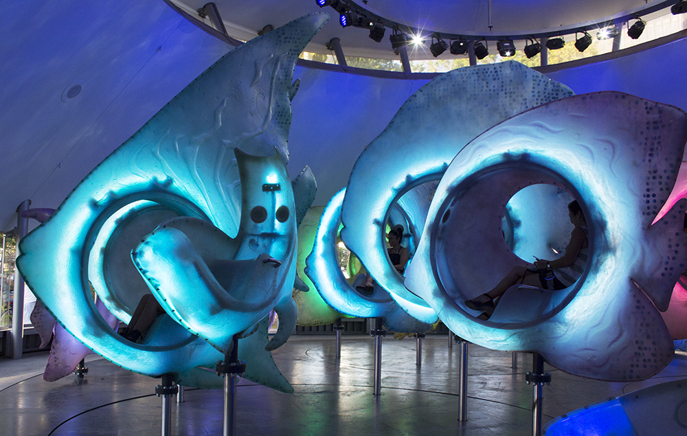 Image result for Sea Glass Carousel