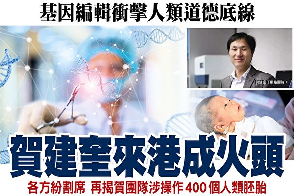 Image result for 贺建奎