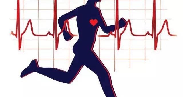 Image result for 心肺功能