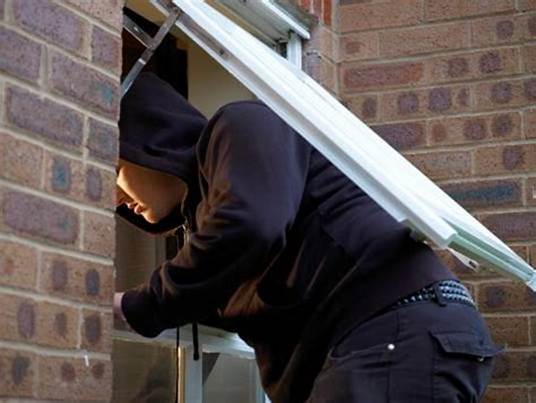 华裔家庭遭窃竟是它惹的祸