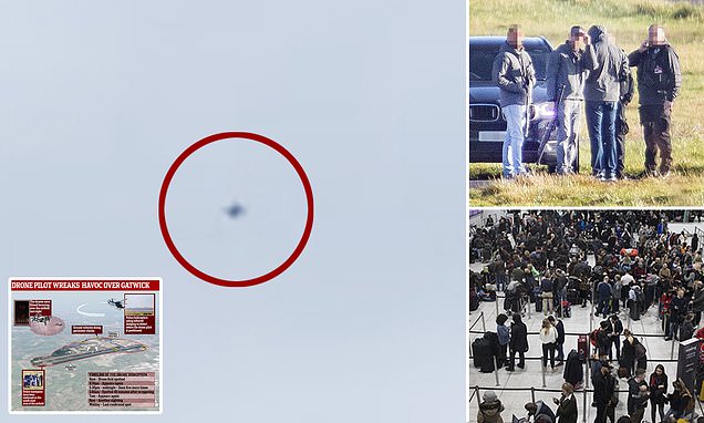 Image result for 英国伦敦盖特威克机场因发现无人机飞越而