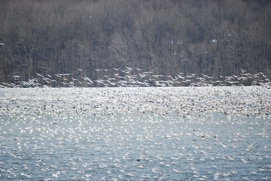 Image result for Middle Creek Willow Point Trail