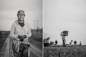 Image result for 非法移民是最低廉的美国劳动力