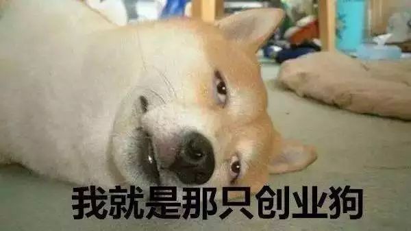 灵魂拷问:“妈妈,我现在每天7107,就是为了以后996吗?”你怎么答?
