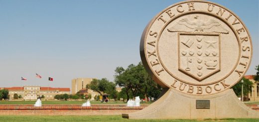 Image result for TTUHSC the Center for Equal Opportunity