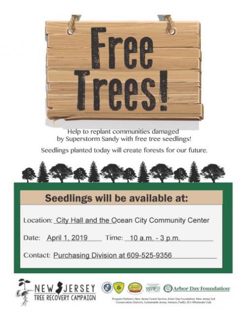 Image result for 2019 free tree new jersey