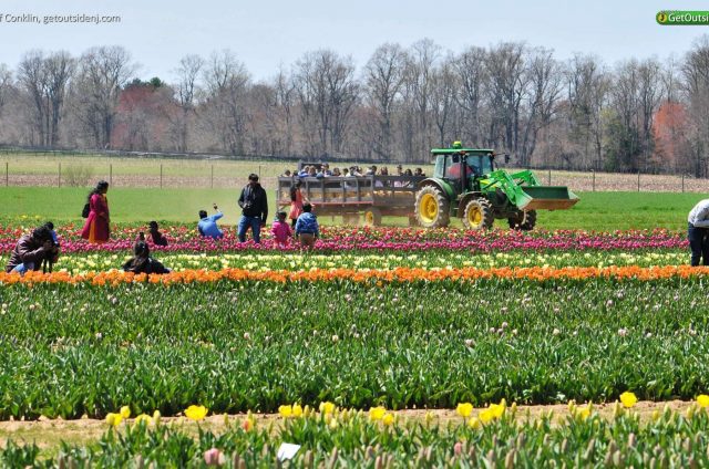 Image result for new jersey Holland Ridge Farm