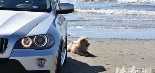 暑期将至,中领馆提醒留学生注意出行安全