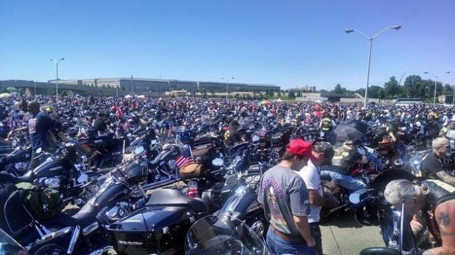 Image result for memorial day dc