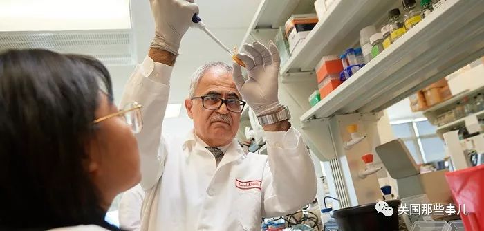 美国科学家成功清除老鼠体内艾滋病毒！“抗艾”斗争再进一步！