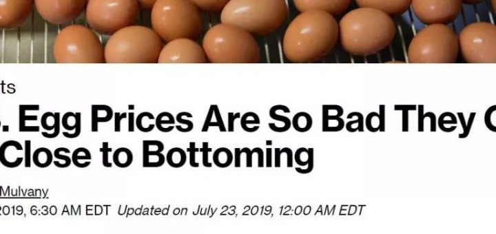 全美大降价，鸡蛋只要1美元?！美国鸡蛋盒上，竟有这些秘密？