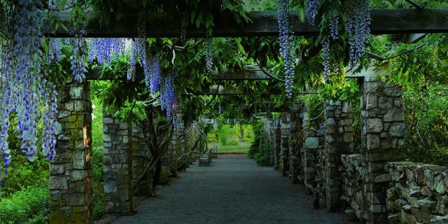 Image result for garden state new jersey