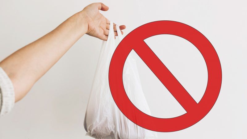 Image result for The biggest shopping town in New Jersey just banned plastic bags