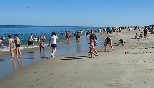 Image result for new jersey shore rental tax