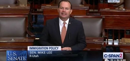 支持S386，你就是华人的大汉奸！