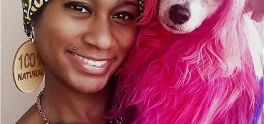 她把狗狗染成老虎和狐狸,还有杀马特造型,网友都称她是坏人