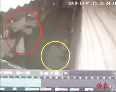 监控录像拍下桑托斯行凶现场，红圈为桑托斯，黄圈为其中一名受害人。(读者提供)