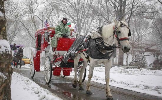 中央公园乘马车赏雪的情景恐将成为历史。