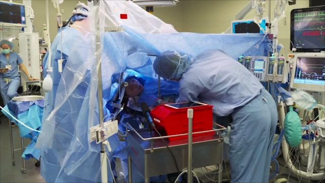 Image result for Jenna Schardt