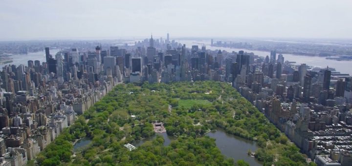 纽约被评全美“最无礼城市” 超1/3人见过纽约客粗鲁行为_图1-1