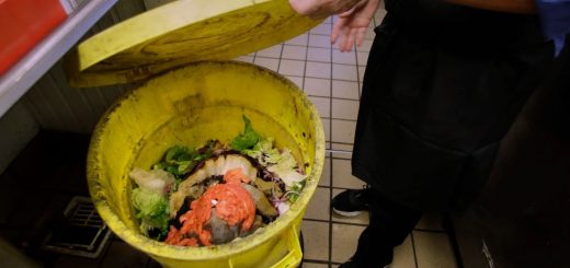 食物残渣不能直接扔 招聘不能问工资历史… 2020有哪些新奇州法?
