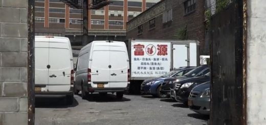 40年纽约华人食品厂 因掺假、不卫生收禁令_图1-2