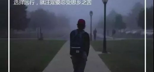 过年为什么我们不回国?原因千万种...