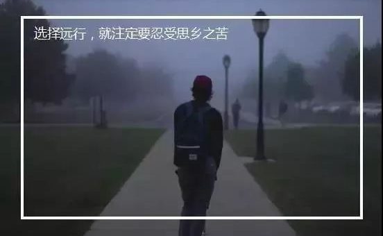 过年为什么我们不回国?原因千万种...