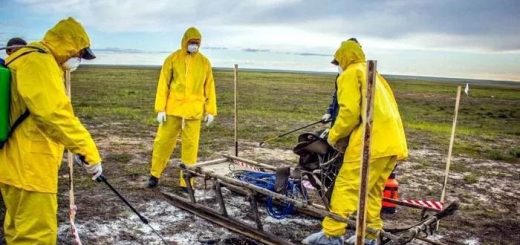 非洲再爆神秘病毒。病毒相继爆发，远古病毒逐渐被发现...人类从未战胜病毒...