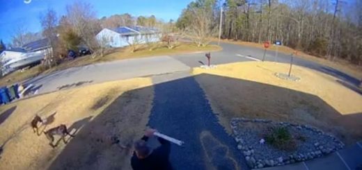 Three dogs charged a man named Mike after he tried to warn a neighbor that the pack was on the loose in the neighborhood again.