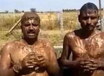 泰国用蚊帐罩隔离,印度出现泡牛屎疗法,日本奈良小鹿发狂,疫情下,荒唐层出不穷...