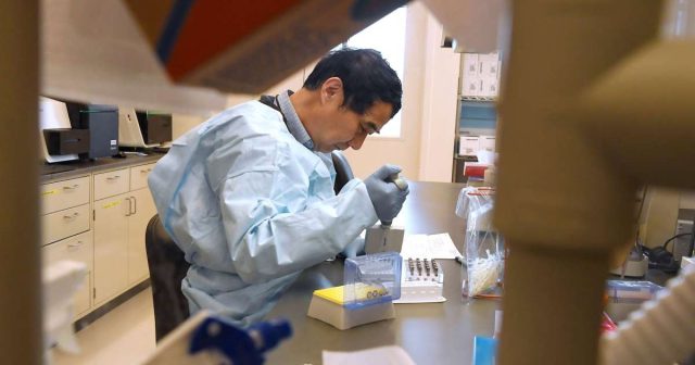 Contamination at CDC lab delayed rollout of coronavirus tests