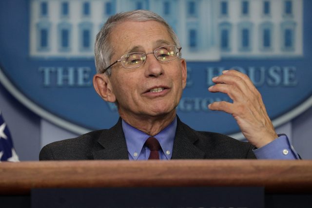 It Is What It Is Anthony Fauci Deploys Scorsese Quote To Deflect Question Over Trump\\\'s Culpability