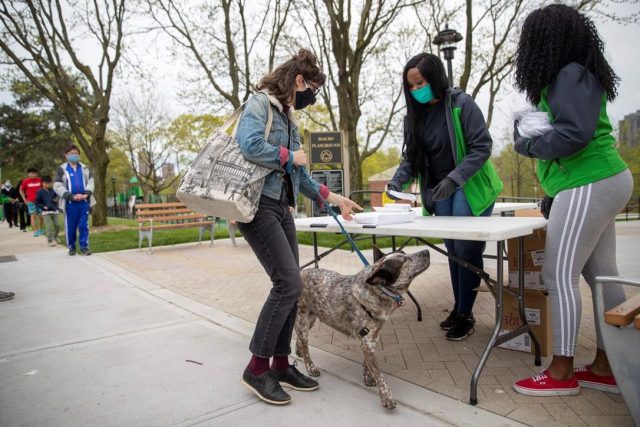 Most new COVID-19 patients in NY not working, older: survey | The Star
