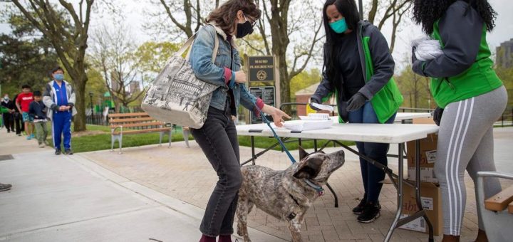 Most new COVID-19 patients in NY not working, older: survey | The Star