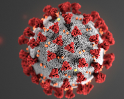CDC:新冠对不同人群影响大不同 这三个族群受冲击最大 CDC:新冠对不同人群影响大不同 这三个族群受冲击最大_图1-1